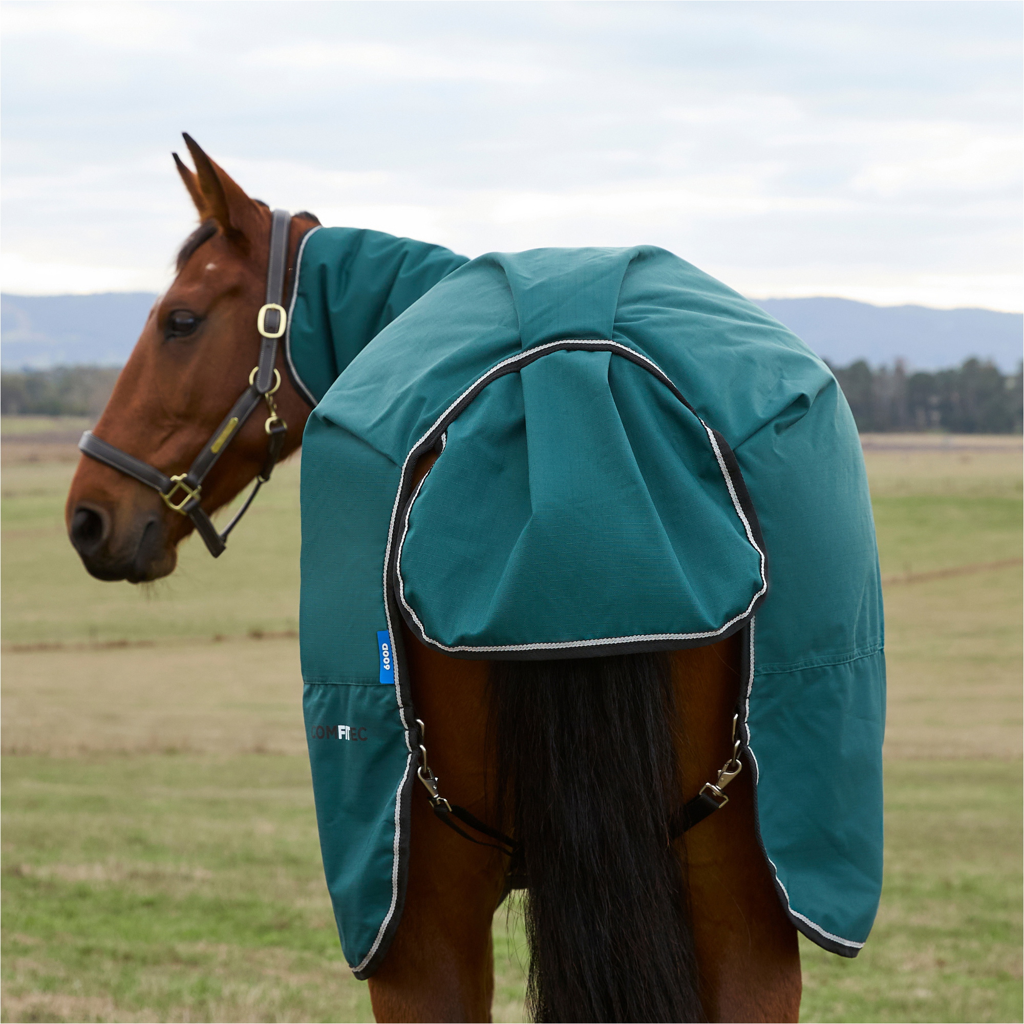 2025 WeatherBeeta Comfitec Classic Turnout Combo 1029069 - Forest Green